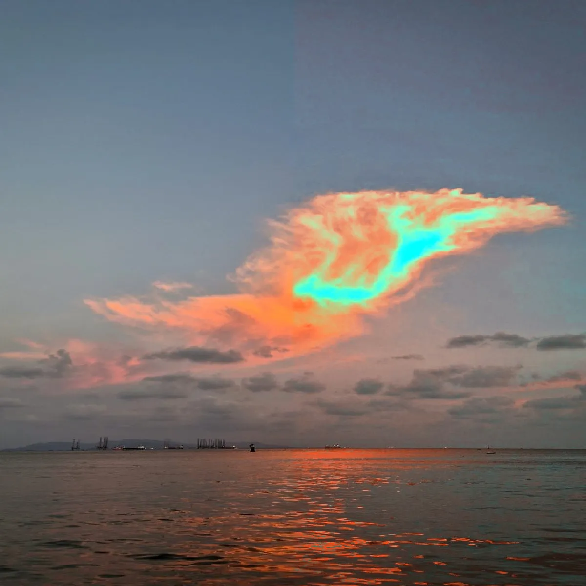 Raw Digital Smartphone Photo