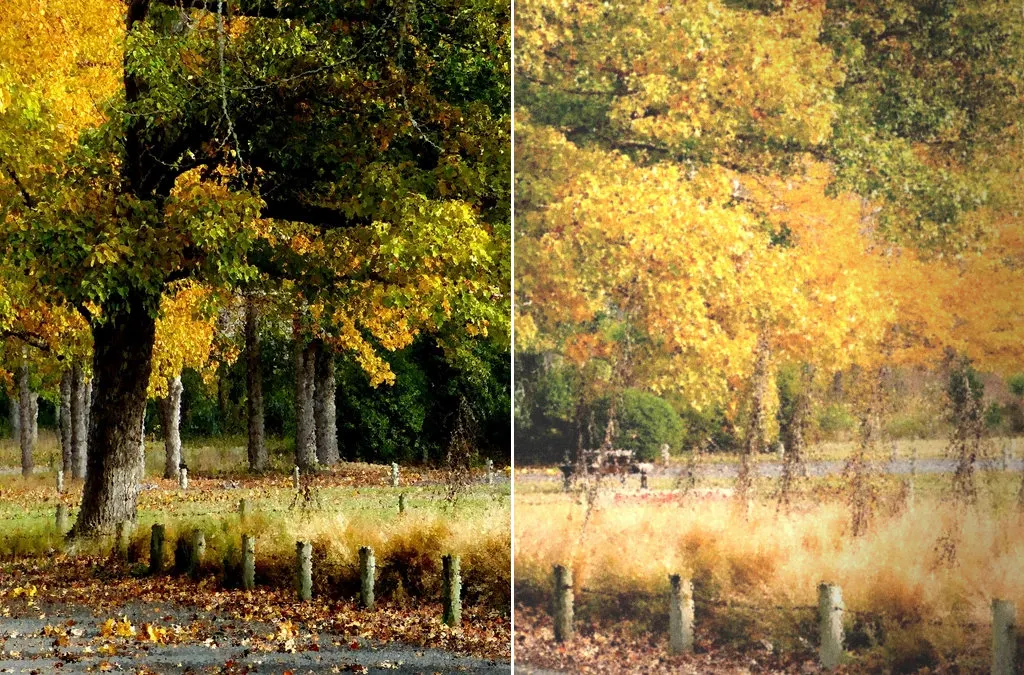 Before and after: Autumn park, original vs GoldenHour Expired film look