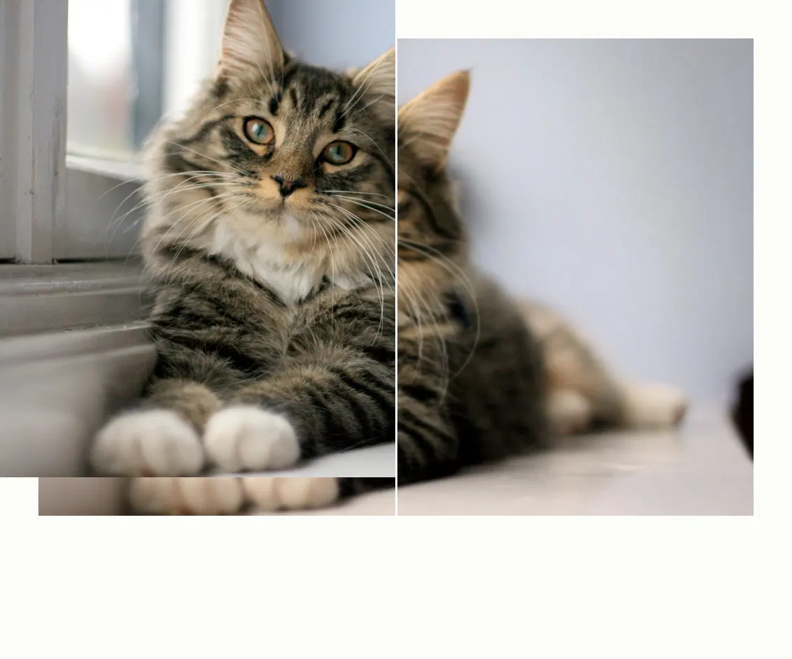 Before and after: Cat window, original vs GoldenHour Fuji Instax Mini look