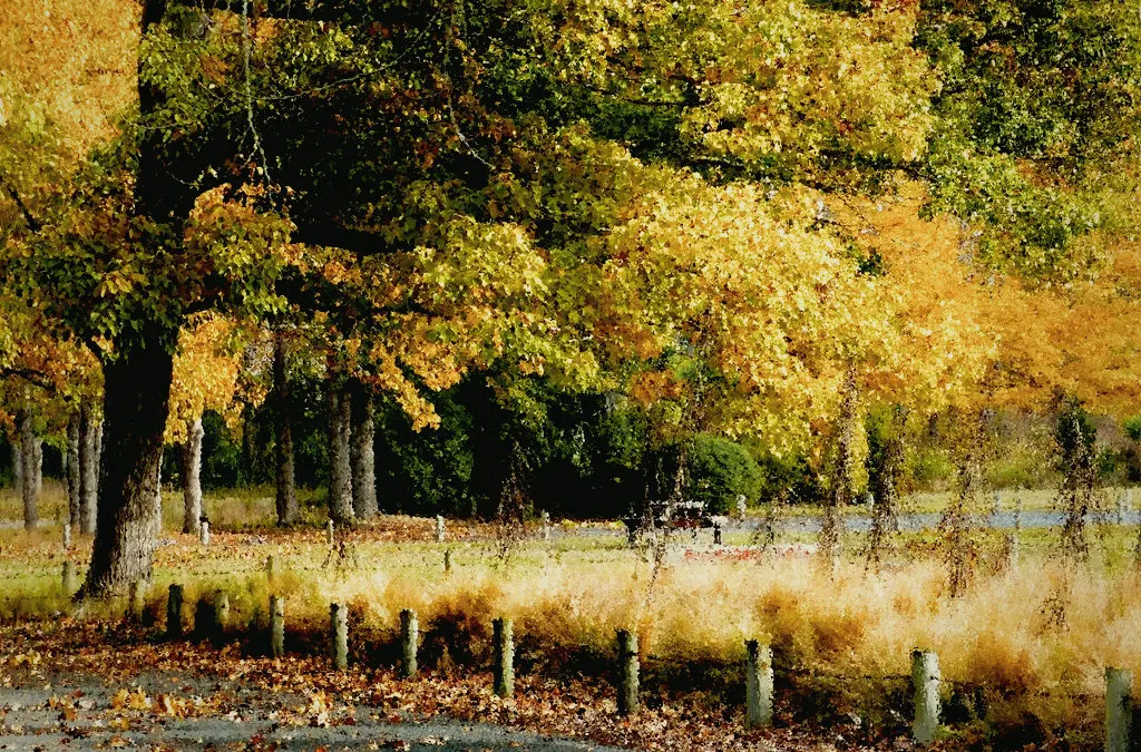 Fuji Superia 400 look rendered in GoldenHour
