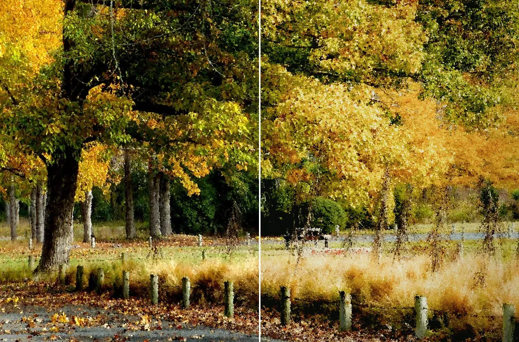 Before and after: Autumn park, original vs GoldenHour Fuji Superia 400 look