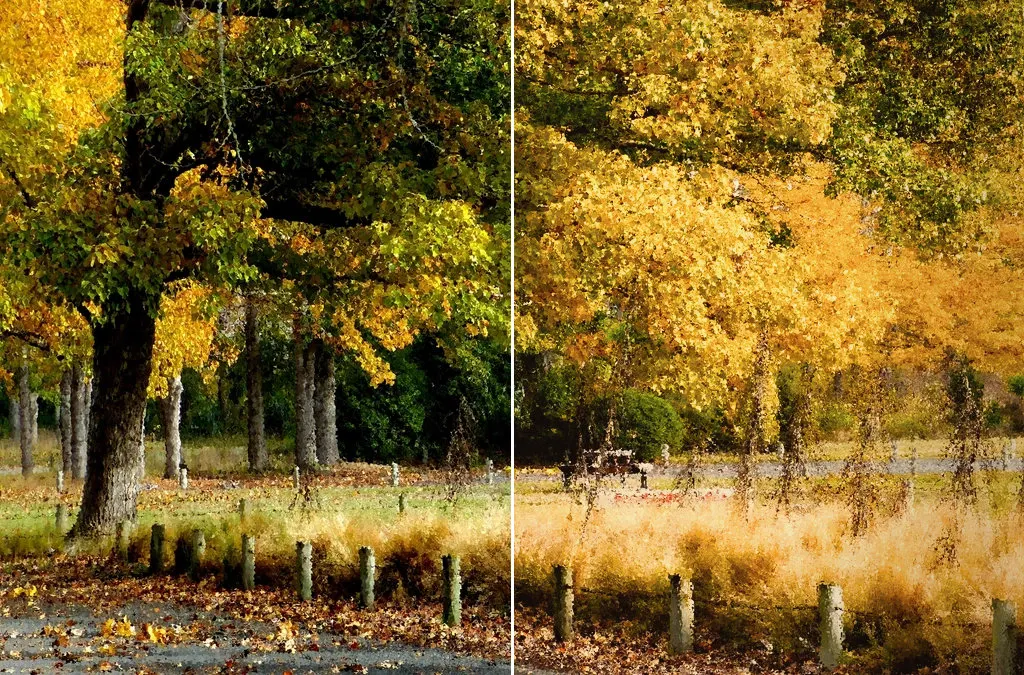 Before and after: Autumn park, original vs GoldenHour Kodak Gold 200 look
